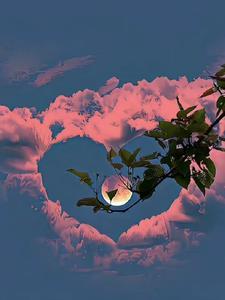 梦幻旅游者 梦幻旅游者