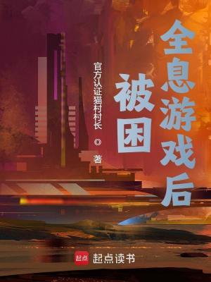 被困全息游戏后 被困全息游戏后