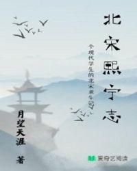 北宋熙宁志 北宋熙宁志